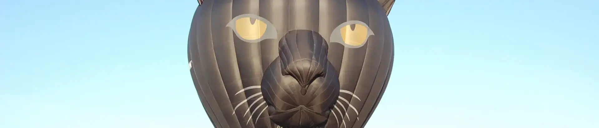 hot air balloon animal